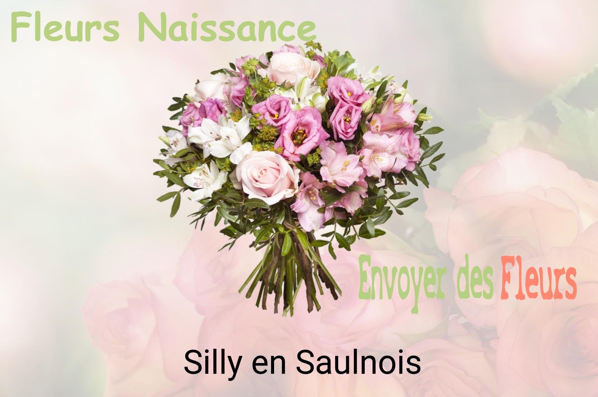 Bouquet de fleurs de naissance livré à Silly-en-Saulnois